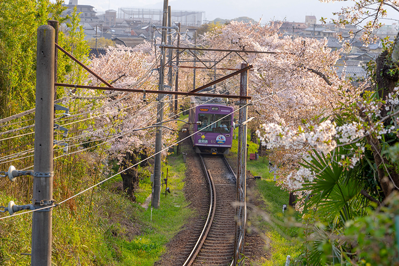 upload/img/20240620095254.png